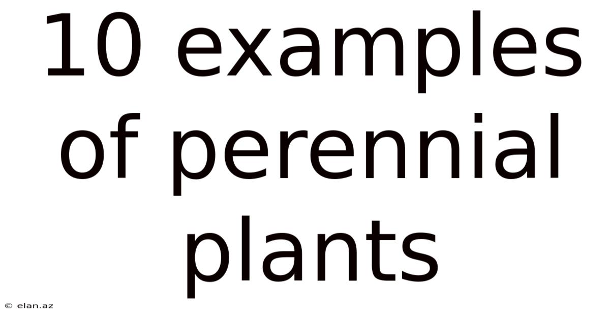 10 Examples Of Perennial Plants