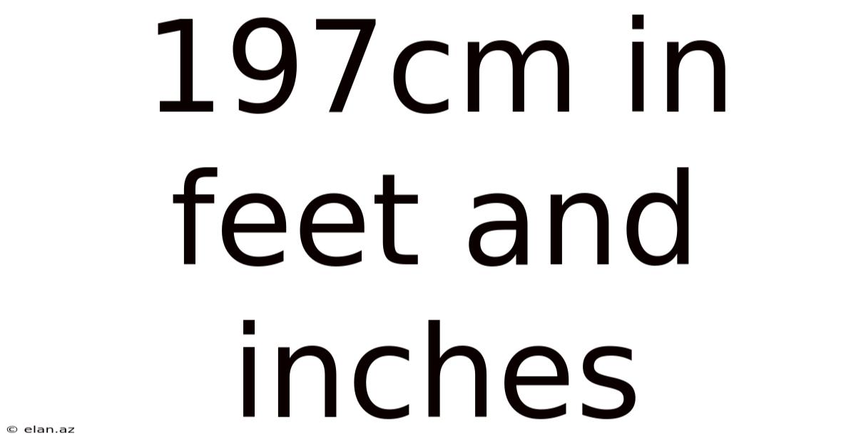 197cm In Feet And Inches