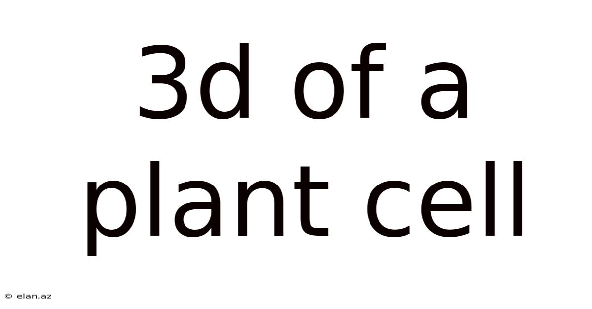 3d Of A Plant Cell