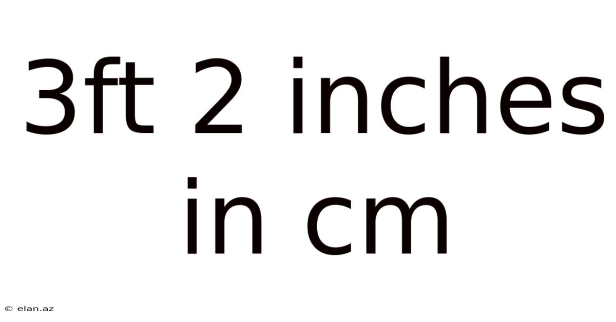 3ft 2 Inches In Cm
