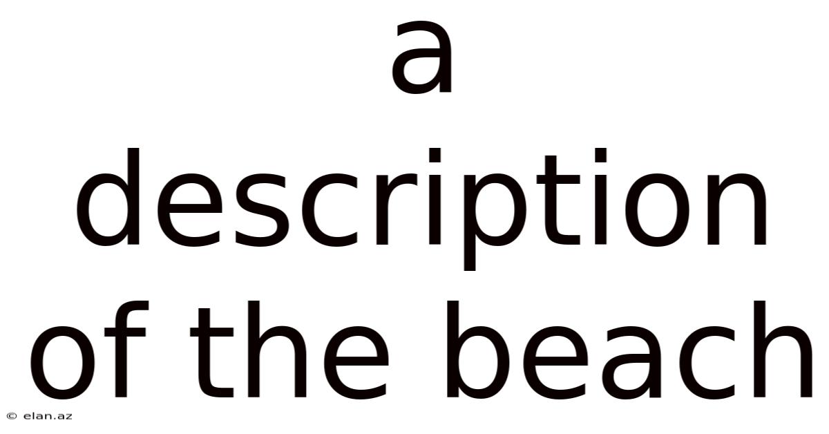 A Description Of The Beach