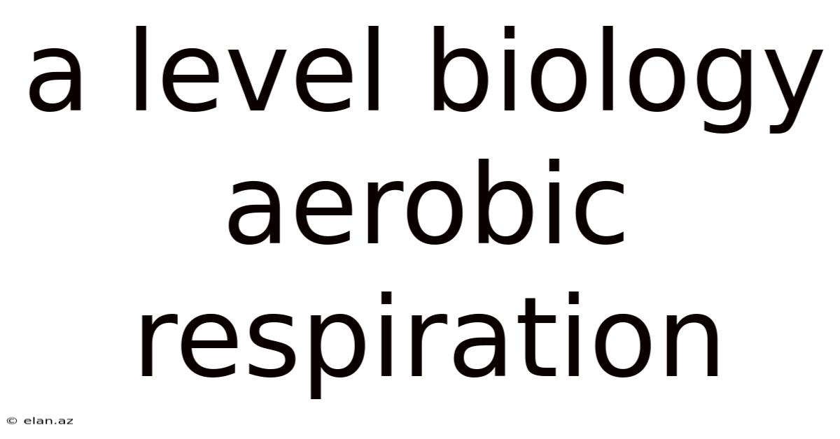 A Level Biology Aerobic Respiration