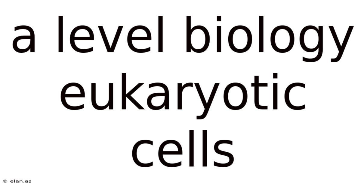 A Level Biology Eukaryotic Cells