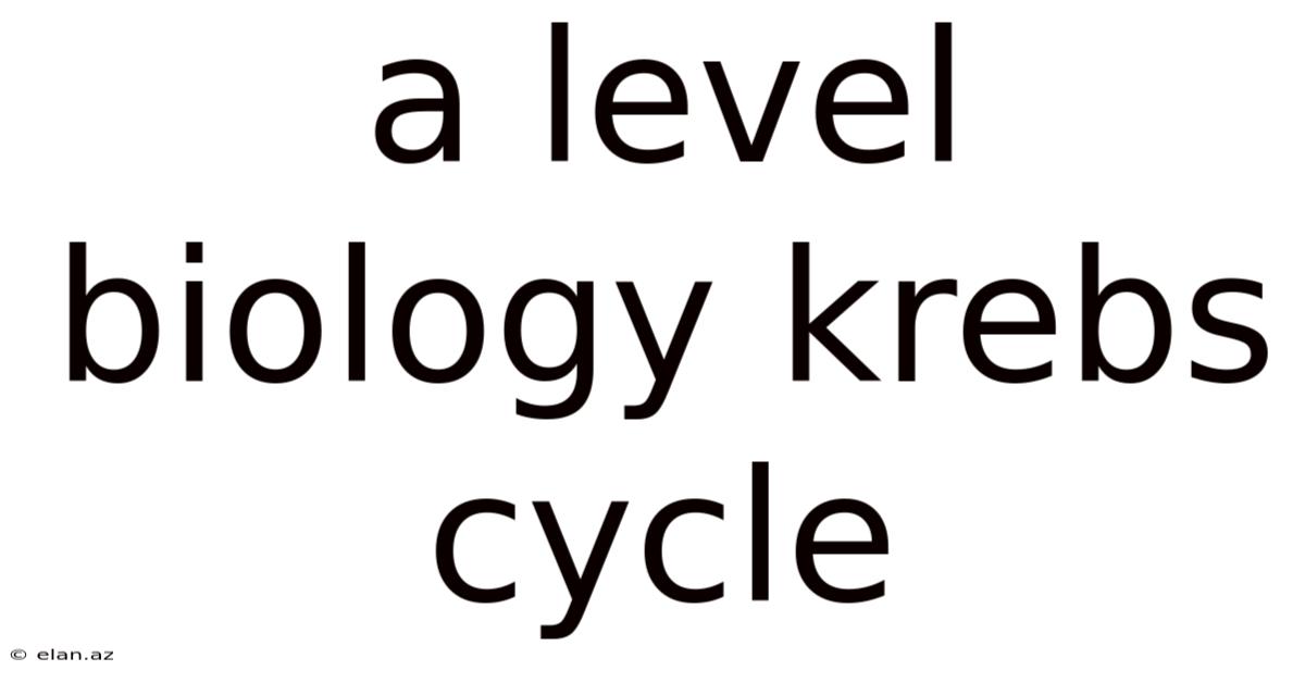 A Level Biology Krebs Cycle
