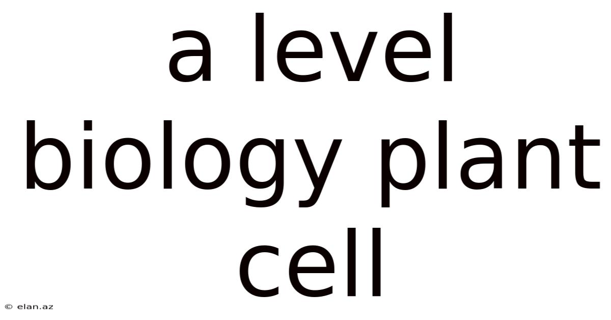 A Level Biology Plant Cell