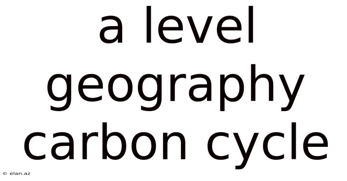 A Level Geography Carbon Cycle