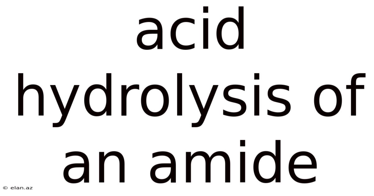 Acid Hydrolysis Of An Amide