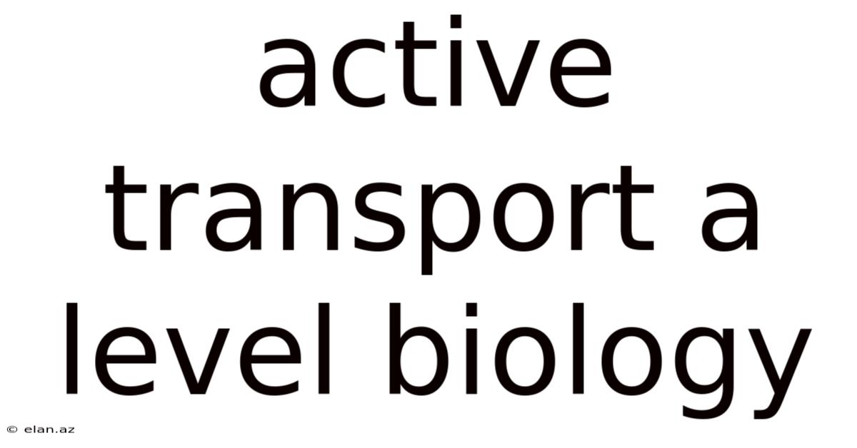 Active Transport A Level Biology