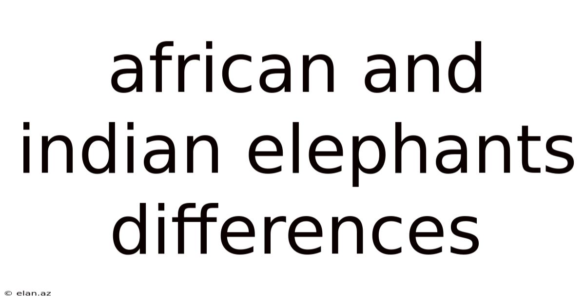 African And Indian Elephants Differences