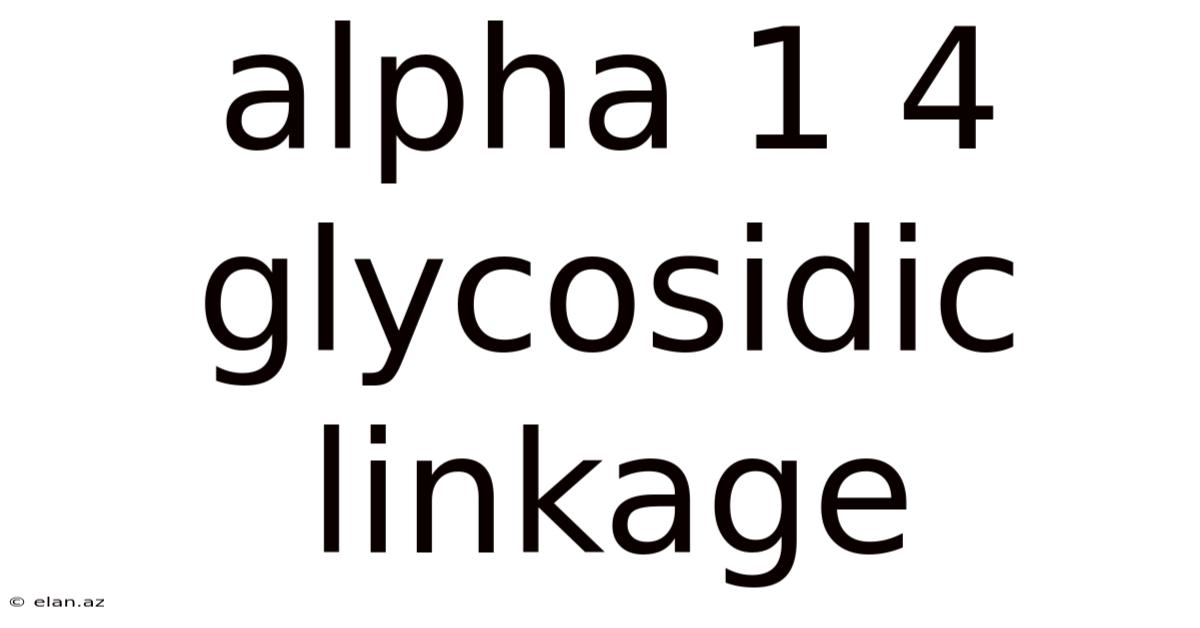 Alpha 1 4 Glycosidic Linkage