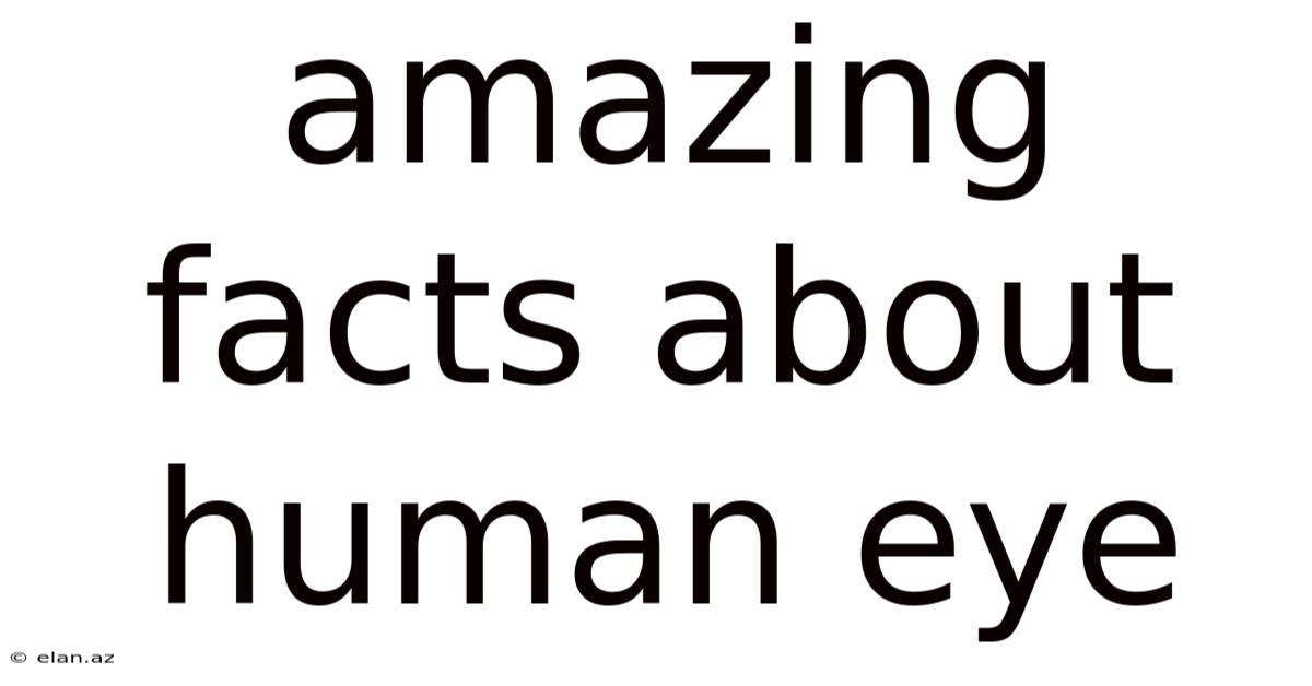 Amazing Facts About Human Eye