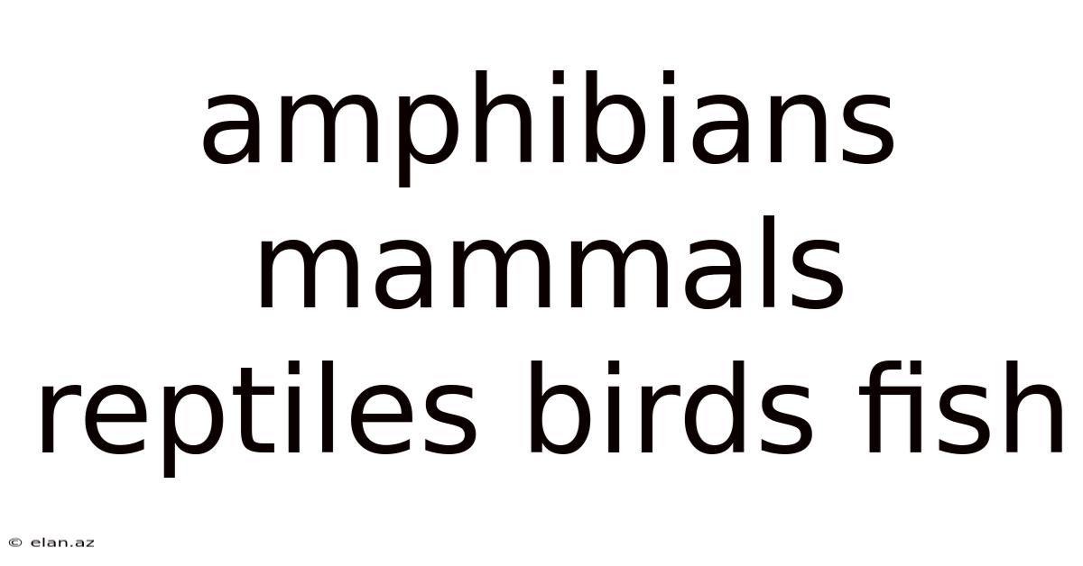 Amphibians Mammals Reptiles Birds Fish