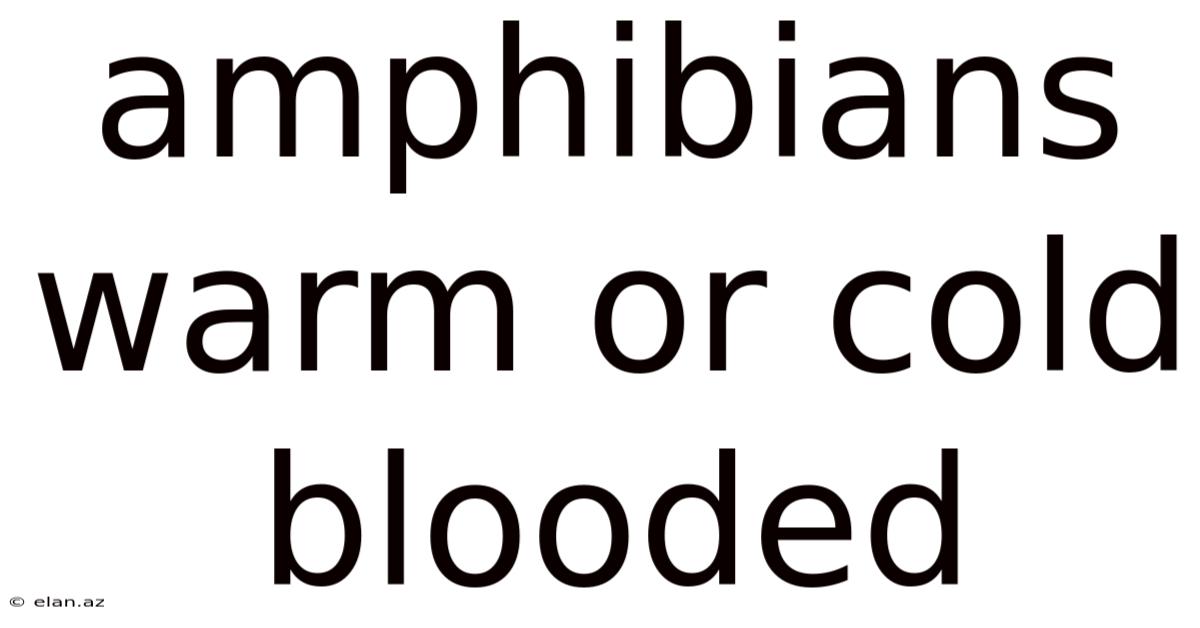 Amphibians Warm Or Cold Blooded