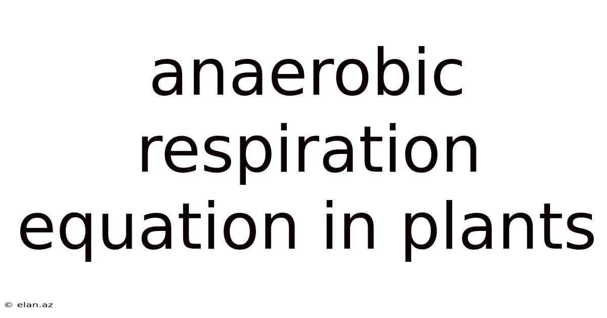 Anaerobic Respiration Equation In Plants