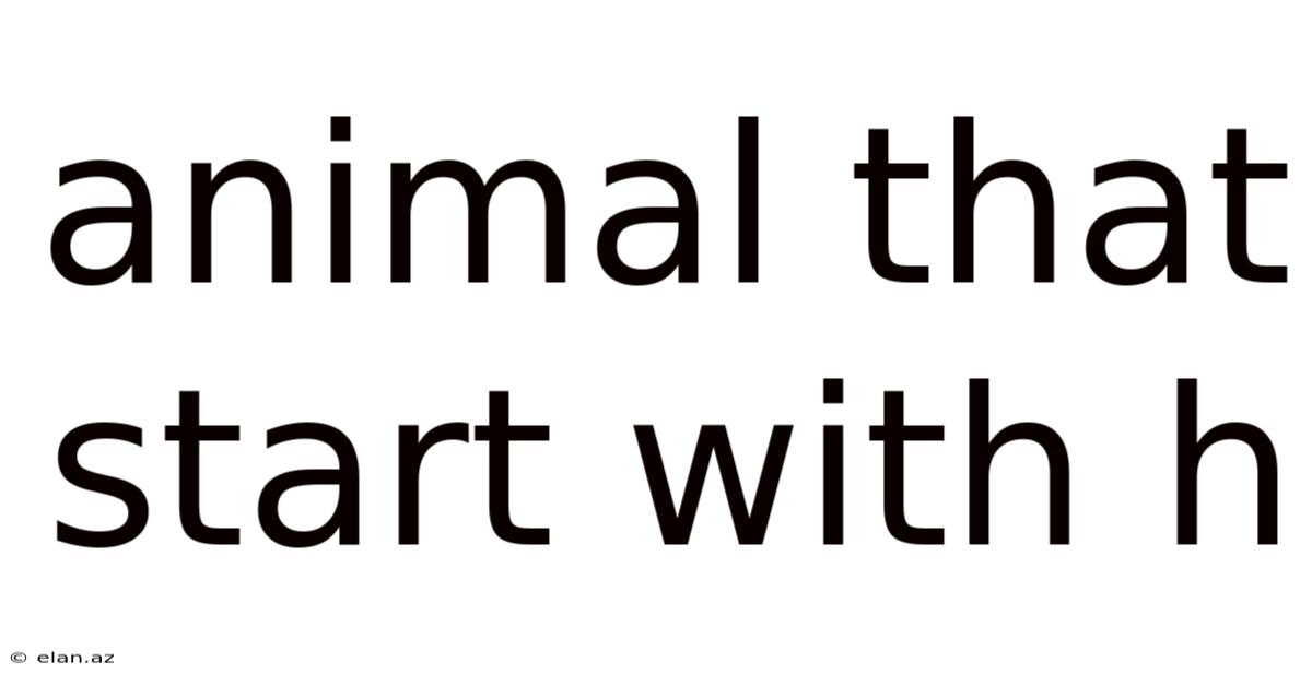 Animal That Start With H
