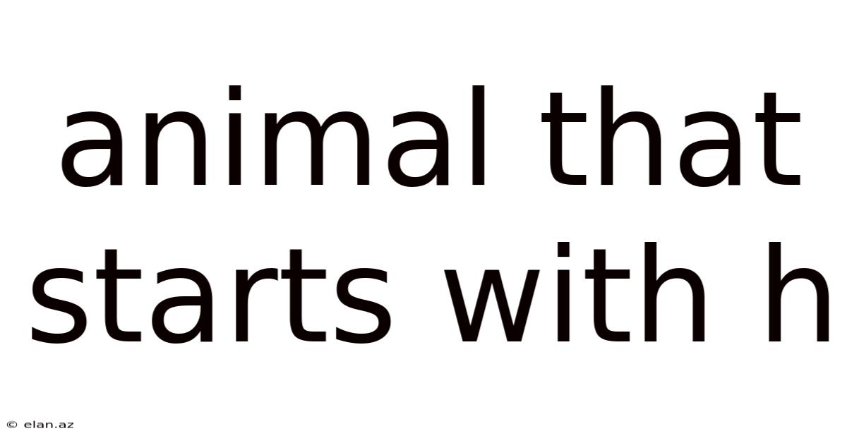 Animal That Starts With H