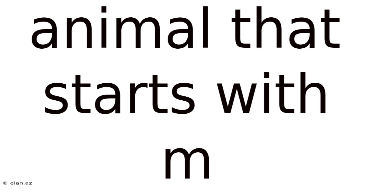 Animal That Starts With M