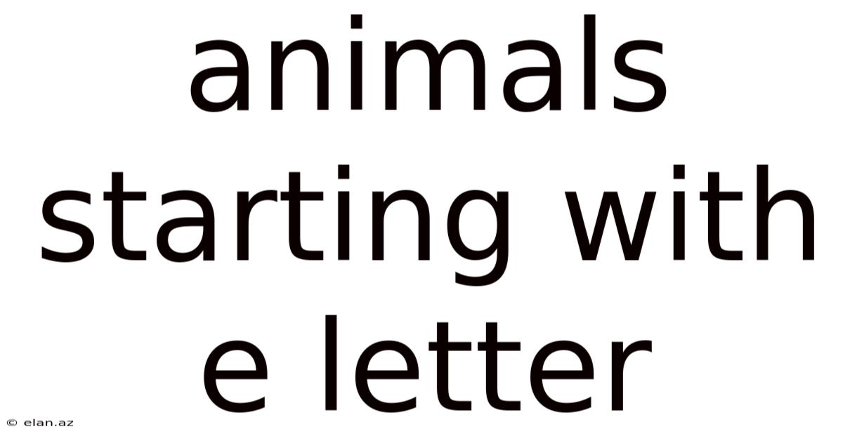 Animals Starting With E Letter