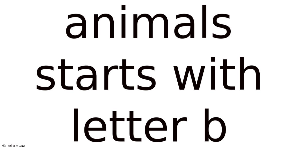Animals Starts With Letter B
