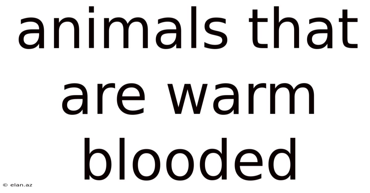 Animals That Are Warm Blooded