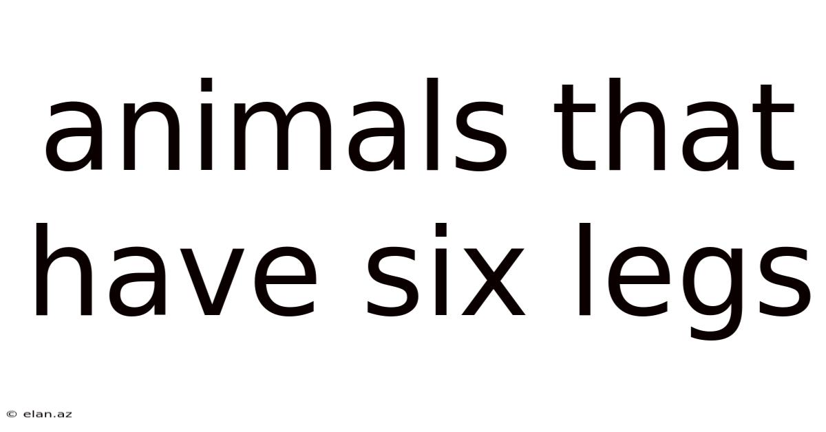 Animals That Have Six Legs