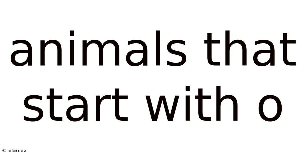 Animals That Start With O