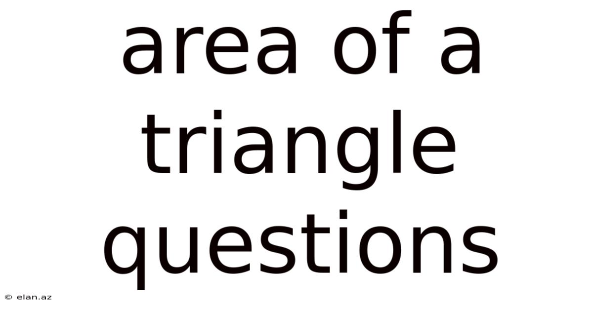 Area Of A Triangle Questions