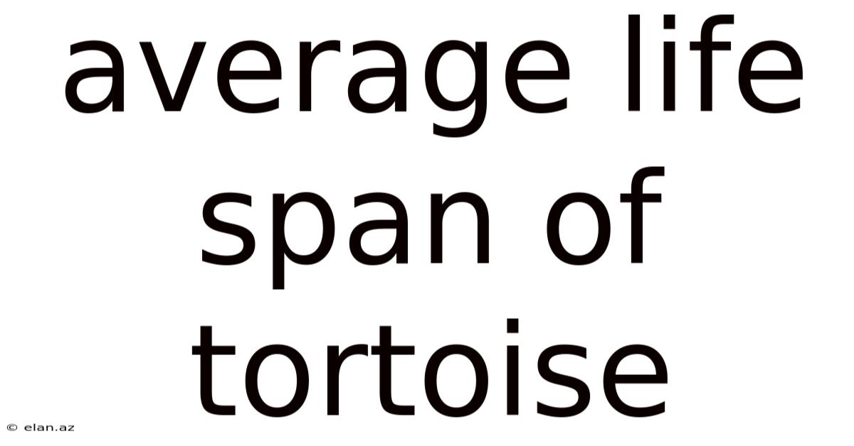 Average Life Span Of Tortoise