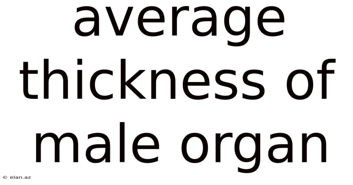 Average Thickness Of Male Organ