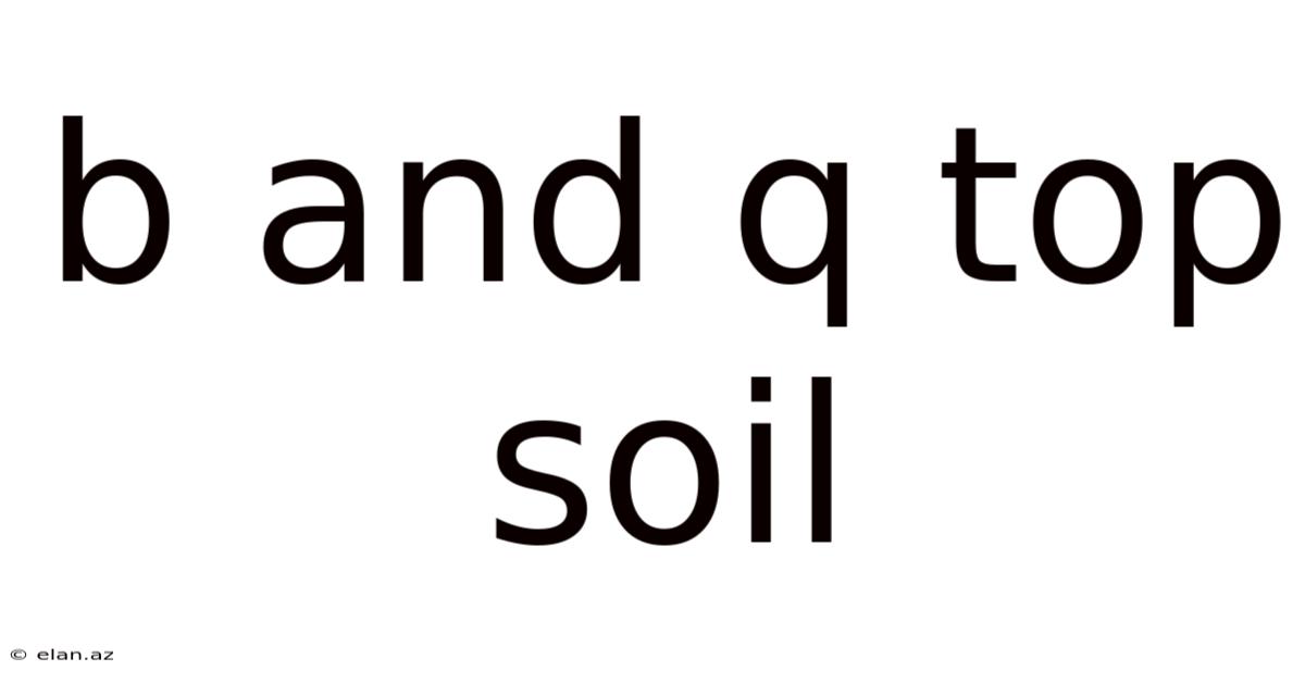 B And Q Top Soil