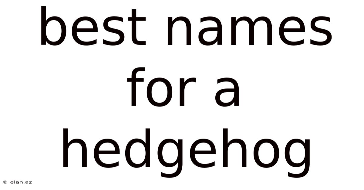 Best Names For A Hedgehog