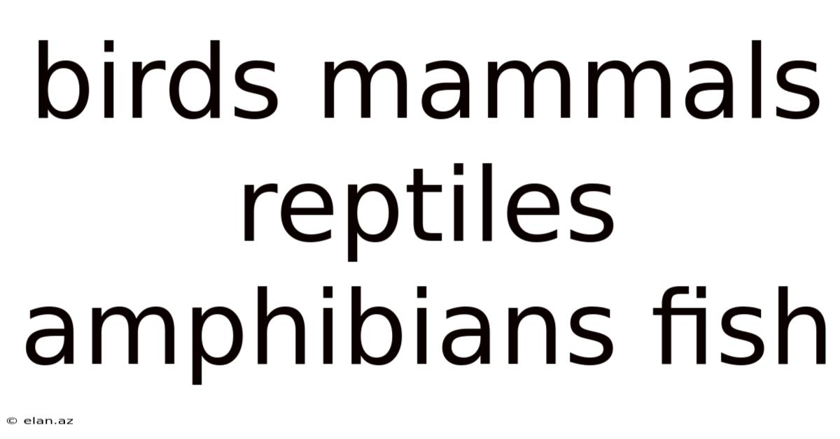 Birds Mammals Reptiles Amphibians Fish