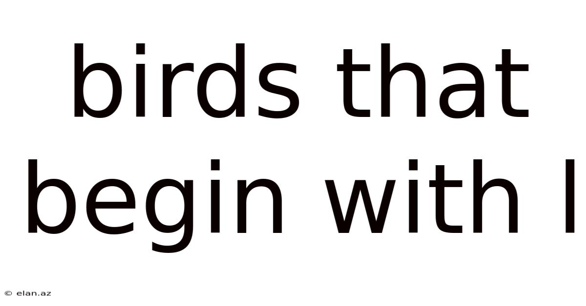 Birds That Begin With L