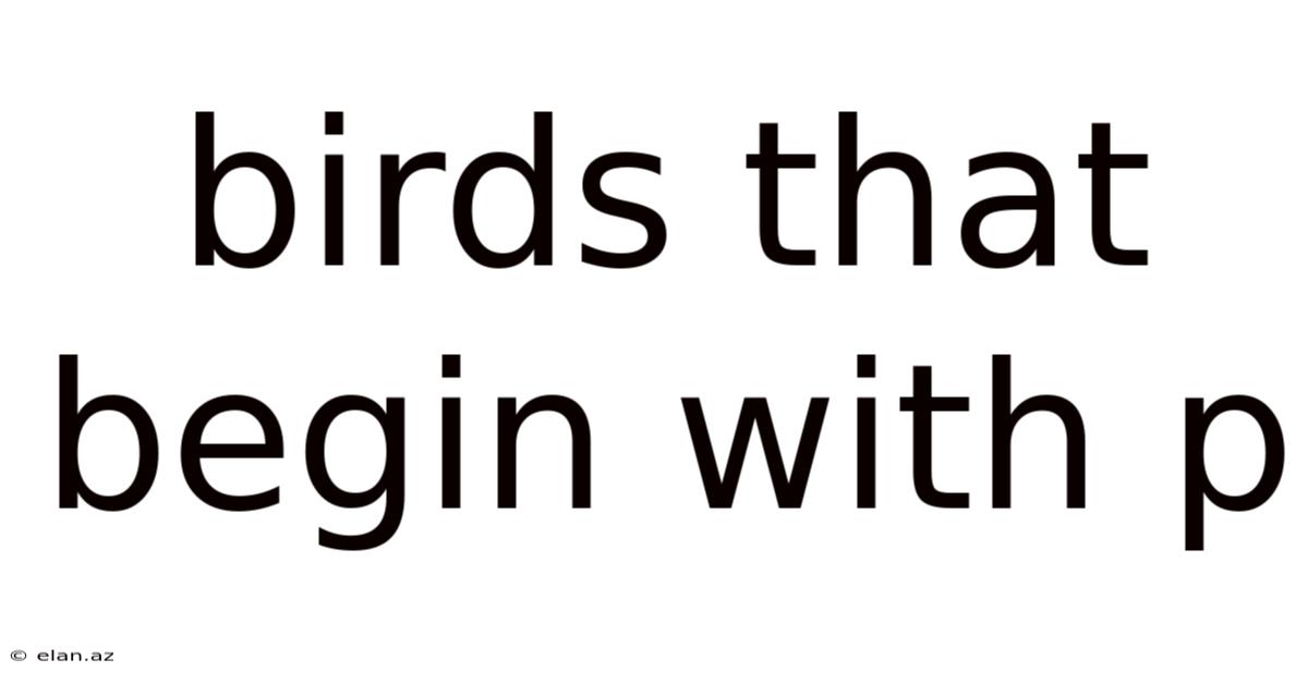 Birds That Begin With P