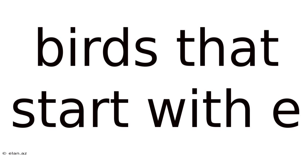 Birds That Start With E