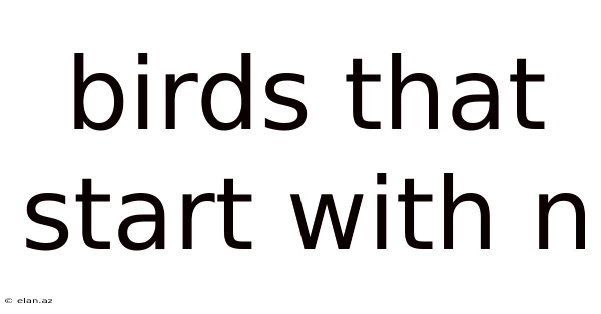 Birds That Start With N