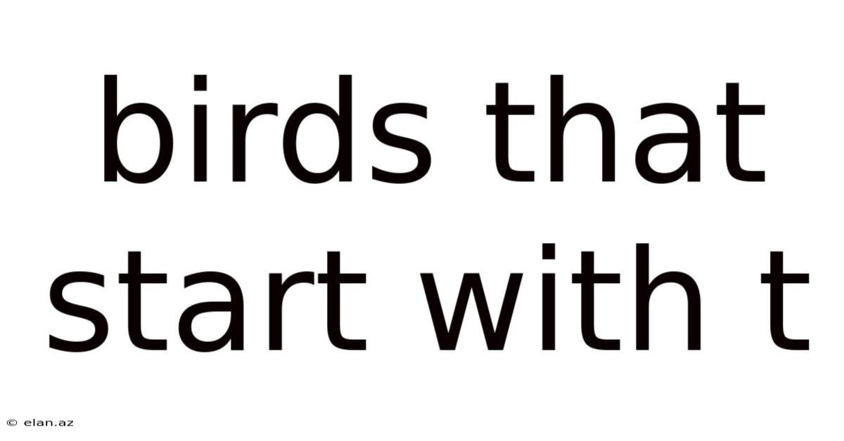 Birds That Start With T
