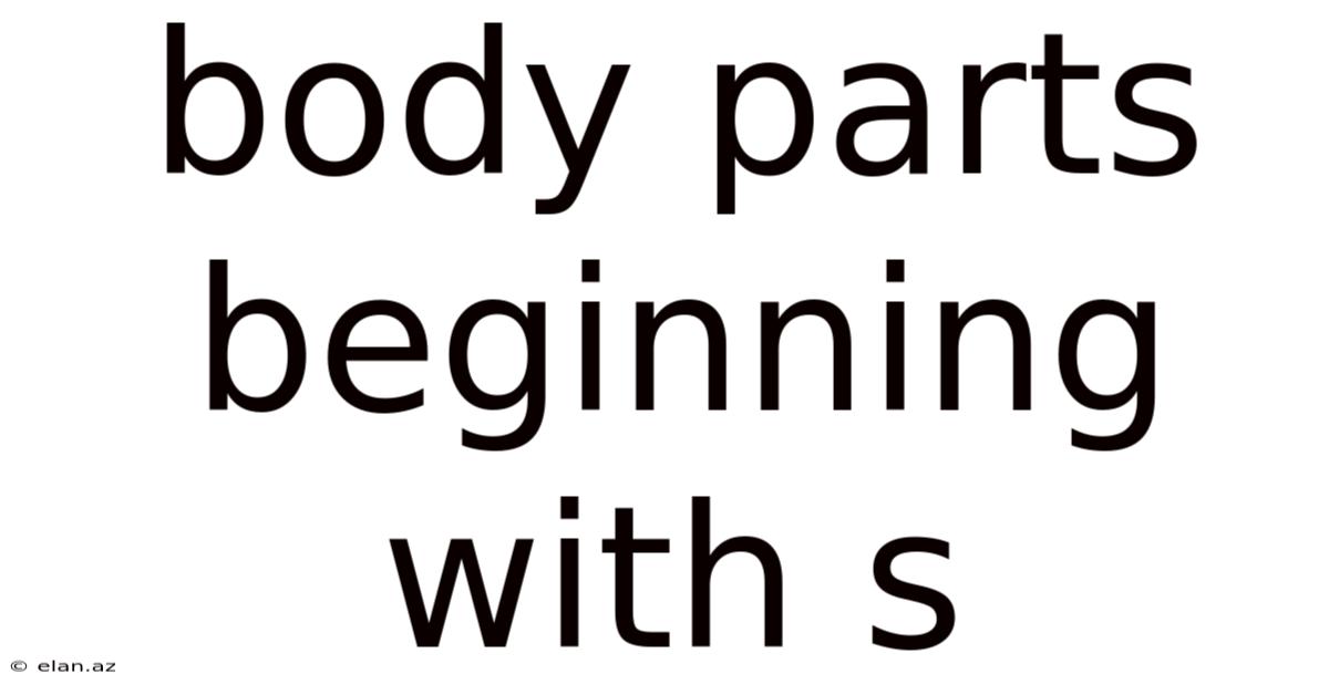 Body Parts Beginning With S