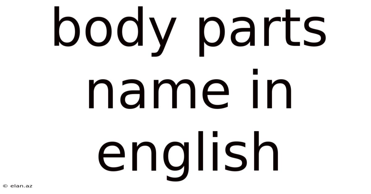 Body Parts Name In English