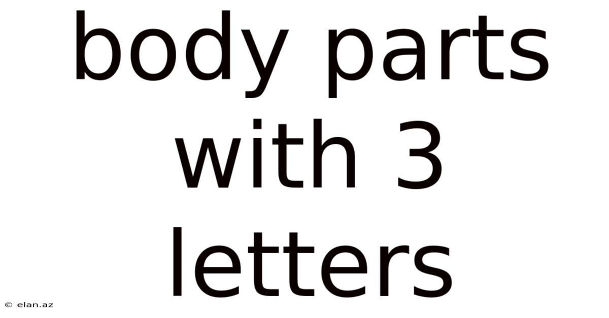 Body Parts With 3 Letters
