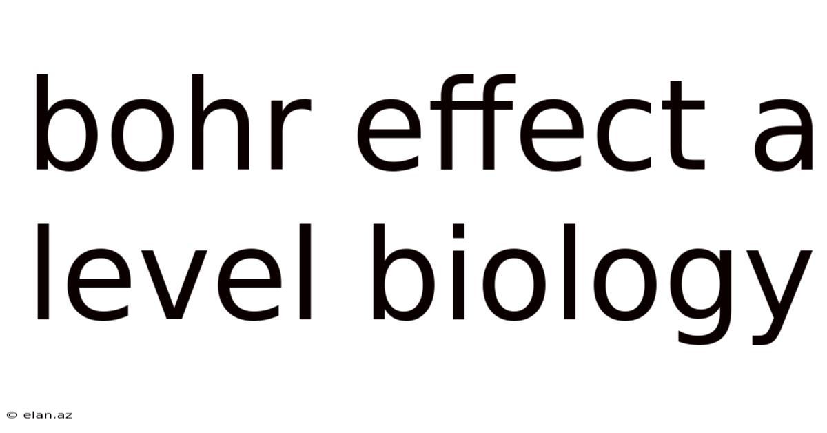 Bohr Effect A Level Biology