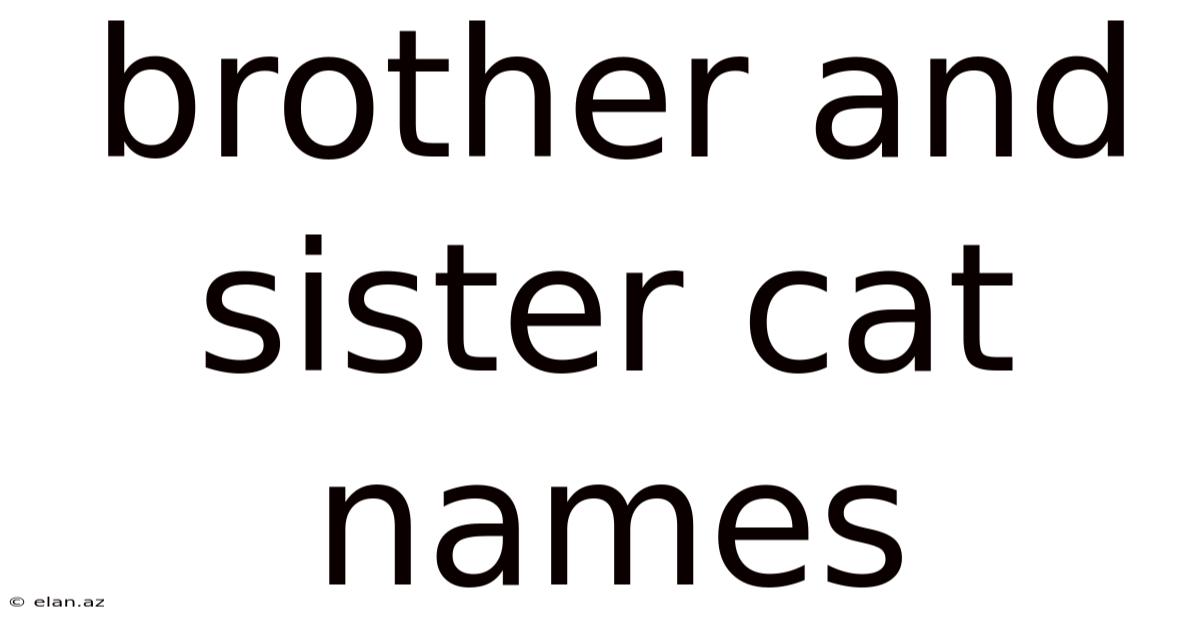 Brother And Sister Cat Names