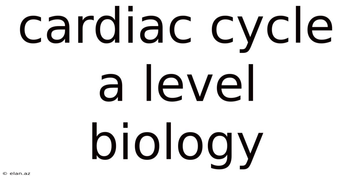 Cardiac Cycle A Level Biology