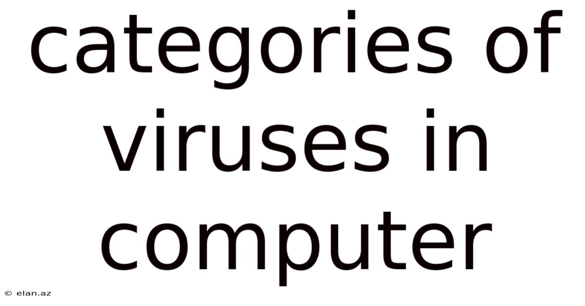 Categories Of Viruses In Computer