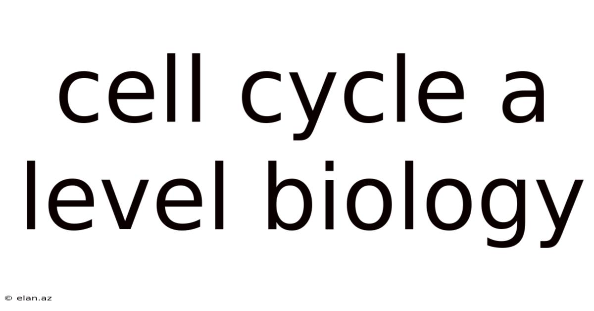 Cell Cycle A Level Biology