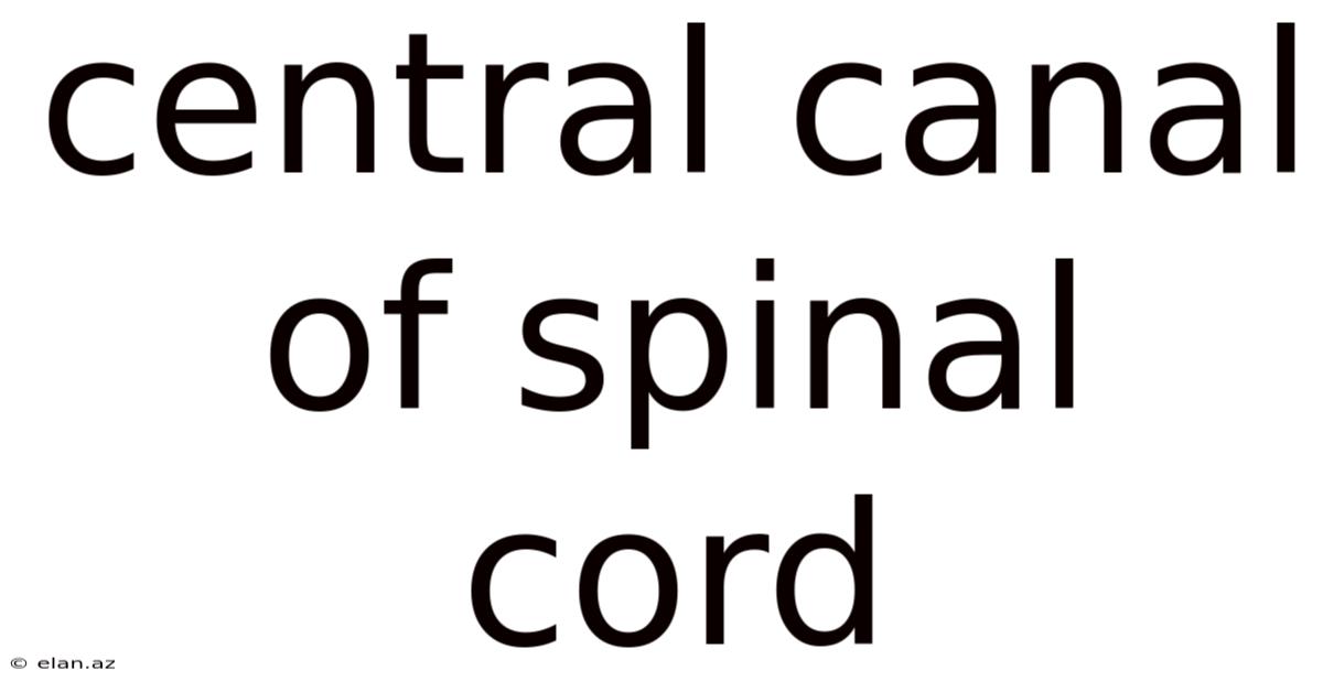 Central Canal Of Spinal Cord