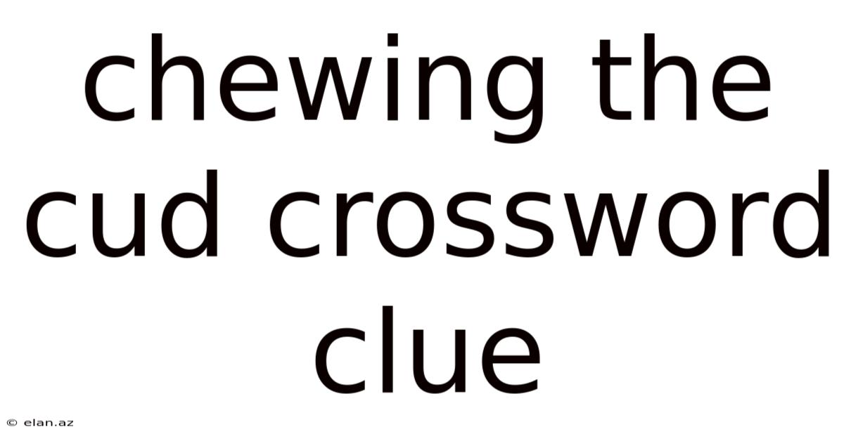 Chewing The Cud Crossword Clue