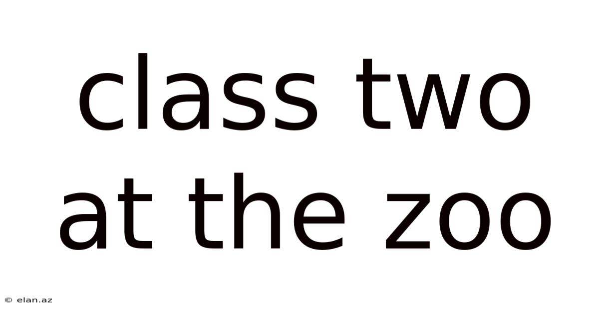 Class Two At The Zoo
