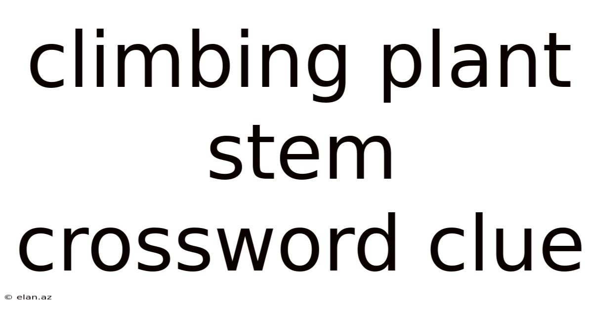 Climbing Plant Stem Crossword Clue