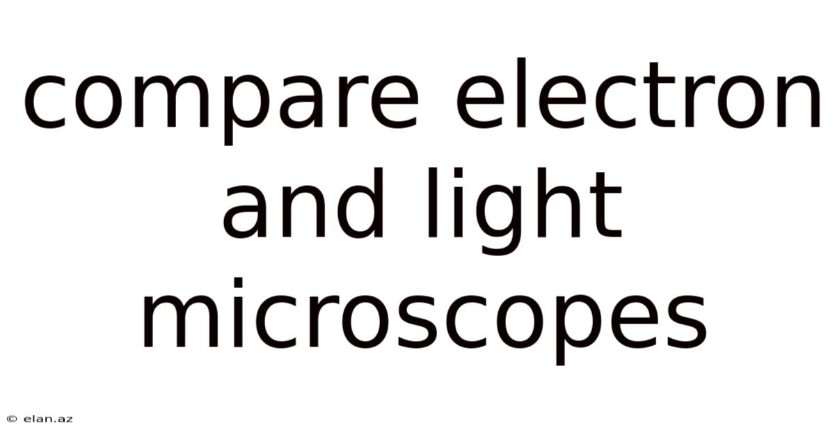 Compare Electron And Light Microscopes